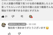 飼い猫寒中水泳系YouTuber、煽り返信開始