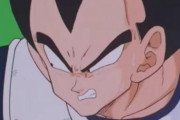 【ドラゴンボール】ベジータ(寿命)の葬式に来なさそうな奴wwwww