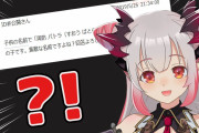 【悲報】大物Vtuber「NURO光に問い合わせたら昼間と深夜は繋がってるから返金できませんと言われた」