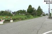 散歩中の家族に車突っ込む…小学生2人と母親が69歳女性の車にはねられる 9歳女の子くも膜下出血で重体