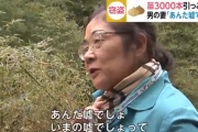 10分で苗3000本を抜いて盗んだ男を逮捕　男の妻「あんた嘘でしょ」