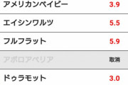 【競馬】京都6レース 5頭立てww