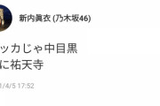 【乃木坂46】新内眞衣 何度目のやまとなでしこか