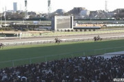 【中山大障害】マイネルグロンが10馬身差圧勝！ 4連勝でJ･GI制覇！