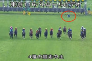 日曜メインに軸馬がスタートで落馬したヤツって、どんな気持ちで明日を迎えるの？