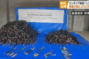銅線窃盗カンボジア国籍７人被害総額２億５０００万円余か #関東