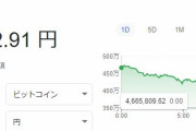 ビットコイン、500万円台で購入したヤツｗｗｗｗｗｗｗｗ
