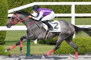 新馬10馬身圧勝のアロゲート産駒、ジャスパーグレイト米G1・BCジュベナイルへ