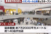 岐阜県民「うおおおお！！！」 イオンモール土岐がオープン、国道が渋滞