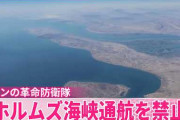 イラン駐日大使「日本の船舶はホルムズ海峡を通過させるよう調整」―戦争を終わらせるために友好国・日本に求めること　[3/30]