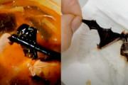 【動画】中国、今度は「麻辣湯(スープ春雨)」の中にコウモリが混入！動画が拡散…