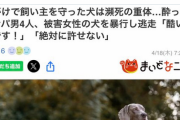 ダレノガレ明美、自身が拡散した情報は「デマ」の可能性　“ナンパ男が犬を暴行”確認されず「良かった」