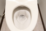 【警告】TOTO『トイレットペーパーで便座を拭くな。理由がこれ』