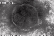 【変異株】 “感染力3倍”新たな亜種『ケンタウロス』国内初確認 感染ピーク山が大きくなる可能性も