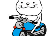 50cc←車の免許で乗れるぞ　125cc←30km/h制限ないぞ 250cc←高速乗れて車検ないぞ　400cc←こいつ