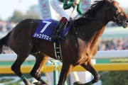 天皇賞･秋で歴代最強パフォの勝ち馬は