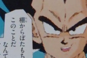 ベジータ「棚からぼたもちとはこの事だ！」←？！？！？！ｗｗｗｗｗｗｗｗｗｗｗｗ