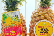 中国のパイナップルは台湾のパイナップルを装って、日本の楽天で販売されてる。台湾産パイナップル絶対絶対「中国・台湾」と書かないよ。