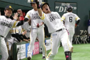 彡(ﾟ)(ﾟ)「えっ…野手転向ですか…」