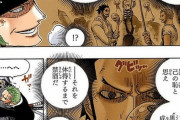 【ワンピース】ミホーク「刀は頑張れば黒刀になるぞ」