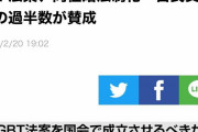 ＬＧBT法案、自民 党「速やかに決定したい」すぐに採決か。世論調査でも過半数が賛成。