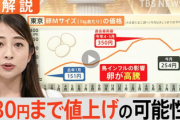 【悲報】卵の価格「380円」まで値上げ