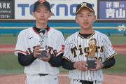 飛ぶバット禁止で小学生の野球が変化　ＮＰＢジュニアトーナメント昨年の５１本塁打から１１本に激減
