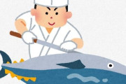 なんで人間って魚にだけ気持ち悪いセンサーが反応しないの？？