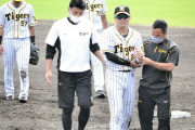 【阪神】前日負傷交代の北條が帰阪　左肩亜脱臼と平田２軍監督「同じところ」