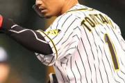 結局ロッテって鳥谷取るんか？？