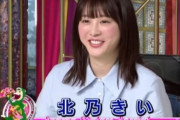 【衝撃画像】北乃きいの現在。