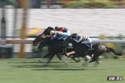 【紫菊賞】ビップヴィーナス＆松若騎手がｷﾀ━━━━(ﾟ∀ﾟ)━━━━!!