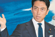 【悲報】記者「小泉進次郎さんは知的レベルが低いので総理になったら恥をかくのでは？🤔」