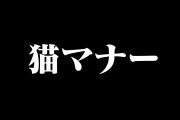 日本語の「猫マナー」が傾いて見えると話題に！【台湾人の反応】