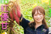 秋元真夏が茨城県へ！と～っても甘い「さつまいも」を収穫してきました！