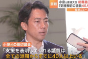 【自民党】小泉進次郎総理でほぼ確定か