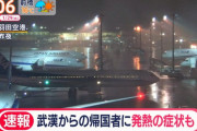 武漢からの帰国者乗せたチャーター機、羽田に到着　搭乗者2人が発熱と咳の症状