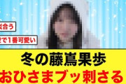 【日向坂46】冬の藤嶌果歩が最強だと証明される！！