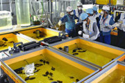 東電、福島第一原発の処理水でヒラメを飼育していることを公開