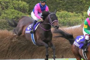 【中山GJ】オジュウ敗れる！メイショウダッサイ中山大障害に次いでJ･G1、2勝目