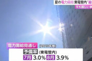東京電力「夏の電力供給むりぽ」