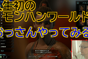 モンハンにて  おっさん「芸能人で誰が好き？」ワイ「本田翼」おっさん「えっ///」