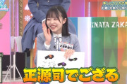 【日向坂46】正源司にござるってつけるとなんかじわる