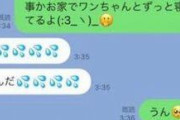 【悲報】チー牛が女子に送るLINE、気持ち悪い・・・・・・・・・・・・・・
