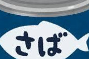 【超悲報】サバの水煮が健康に良いってゆってたから食ってみたら味がしなくてまずいｗ