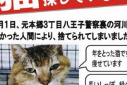 八王子署、預かった20歳の高齢迷い猫を「河川敷に放した」　保健所に連絡しないまま　飼い主ら「高齢、凍死の恐れも」