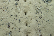 【謎】大西洋の深海で不可解な「謎の穴」見つかる