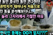 韓国紙「韓国人の糞に驚いて気絶した中国人学者はどこへ行ったのか」韓国の反応