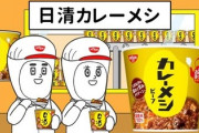 カレーメシっての初めて食べてみたんやが…！