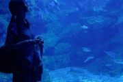 賀喜遥香さん水族館デート🐟
